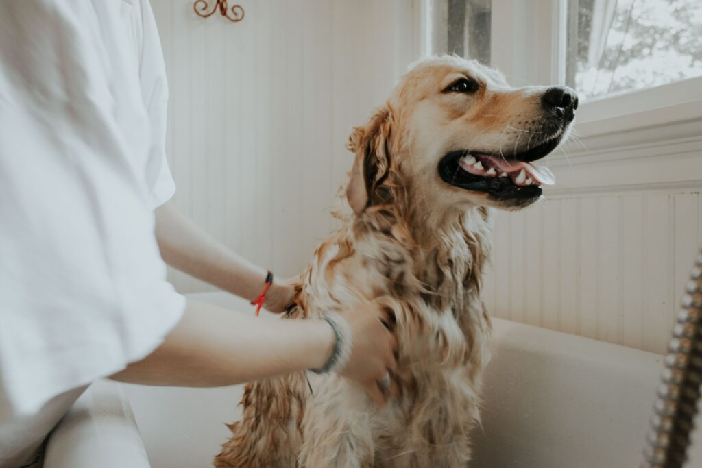 Truly Independent Pet Care Contract Manufacturing | Custom Vet Services